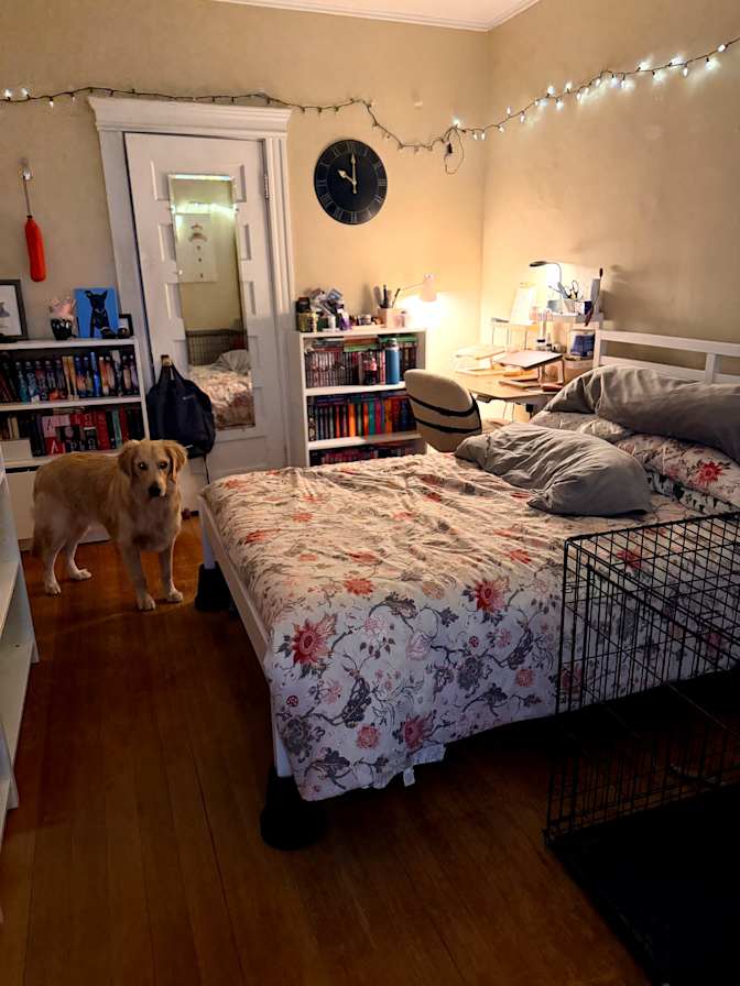El's room
