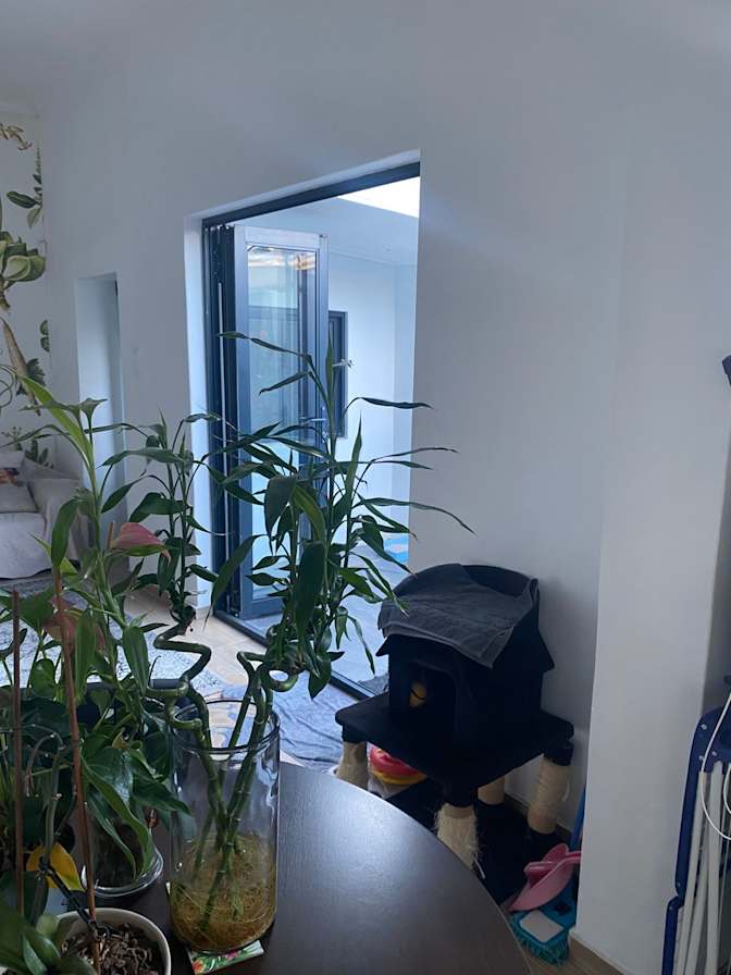 Tanis's room