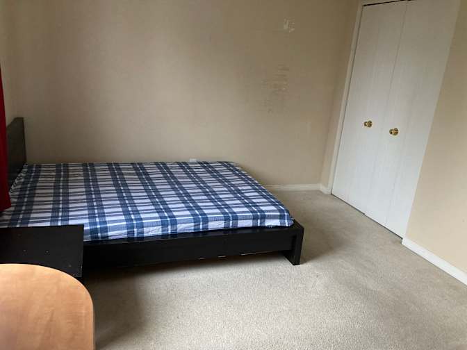 Amy's room
