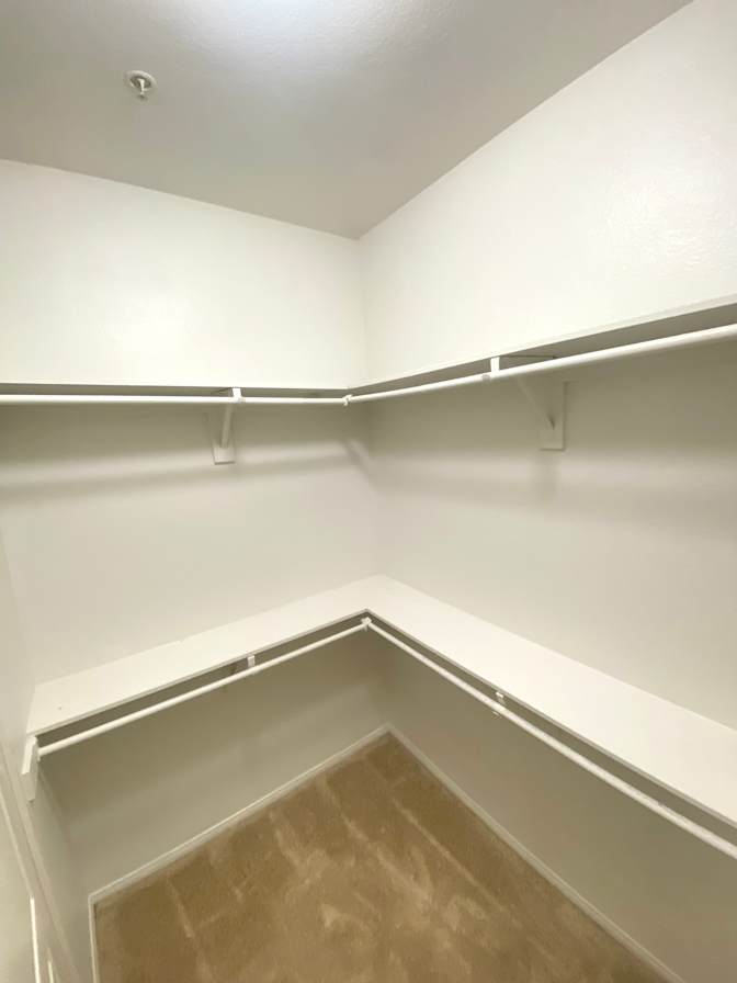 Chi's room