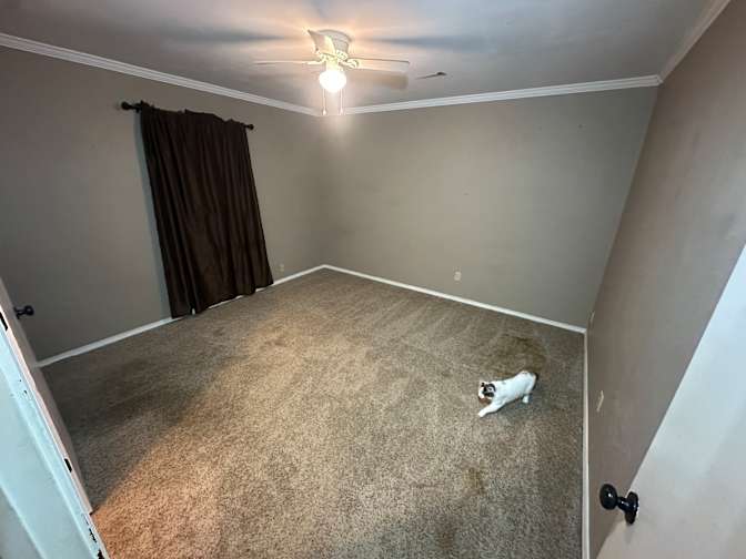 Jordan's room