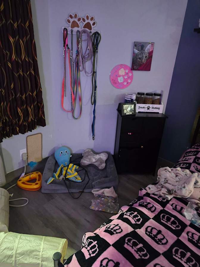 Kayla Latham's room