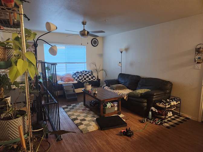 Amber's room