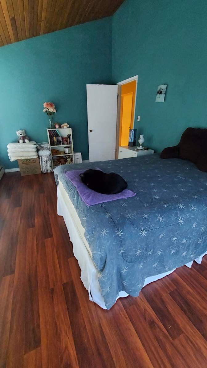 Alison's room