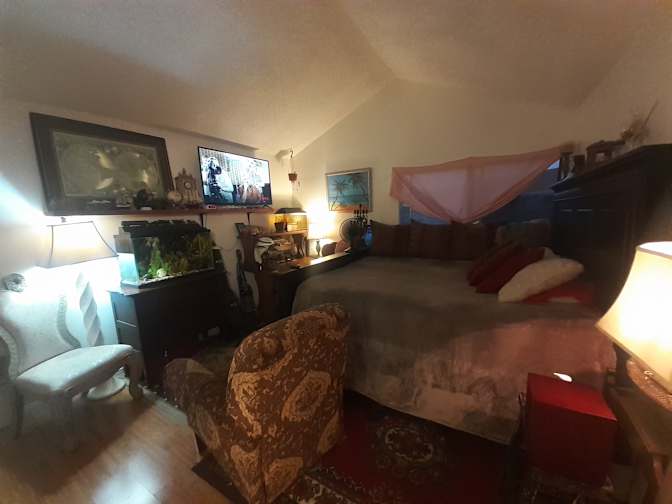 Fabiola's room