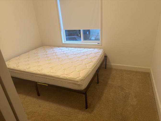 Michelle Carroll's room
