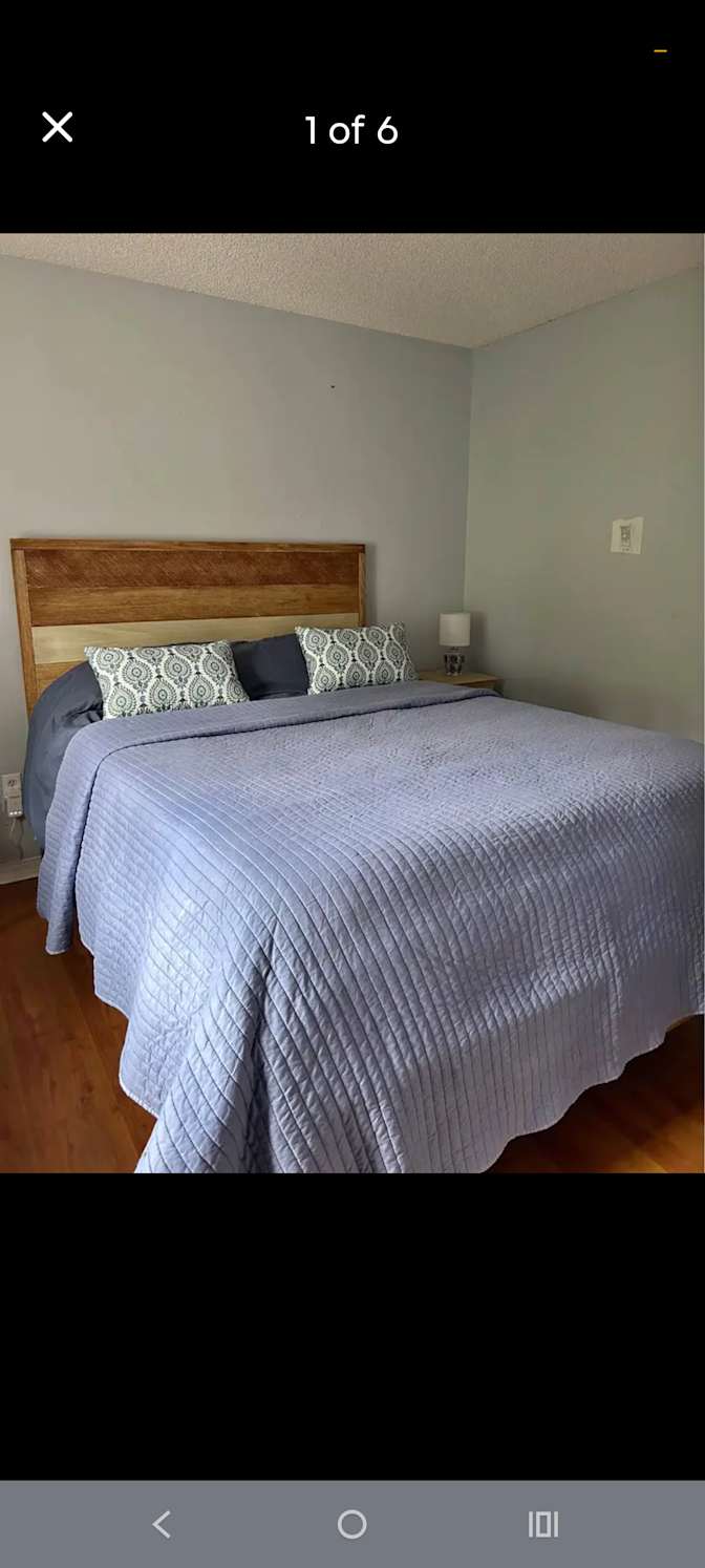 Pamela M's room