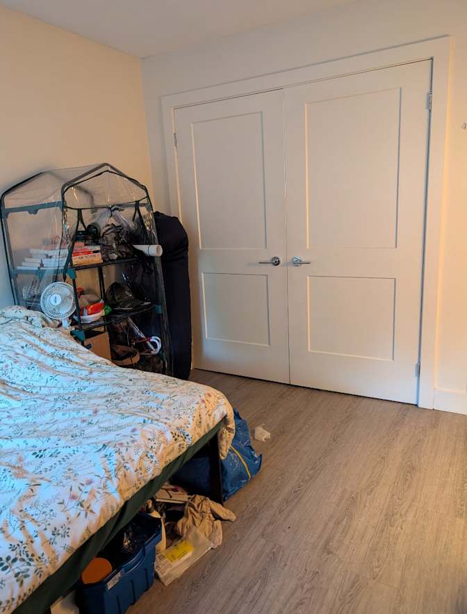 Shaz's room