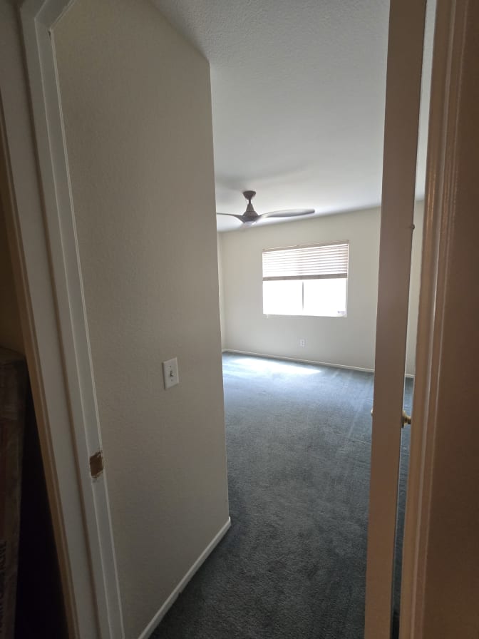 Viniva Management's room