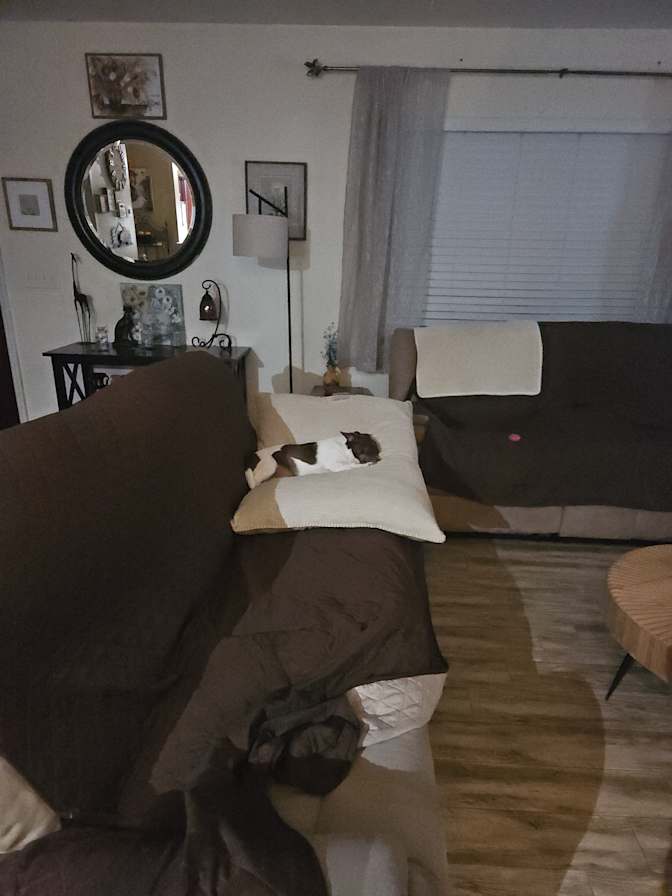 Cheryl L Durand's room
