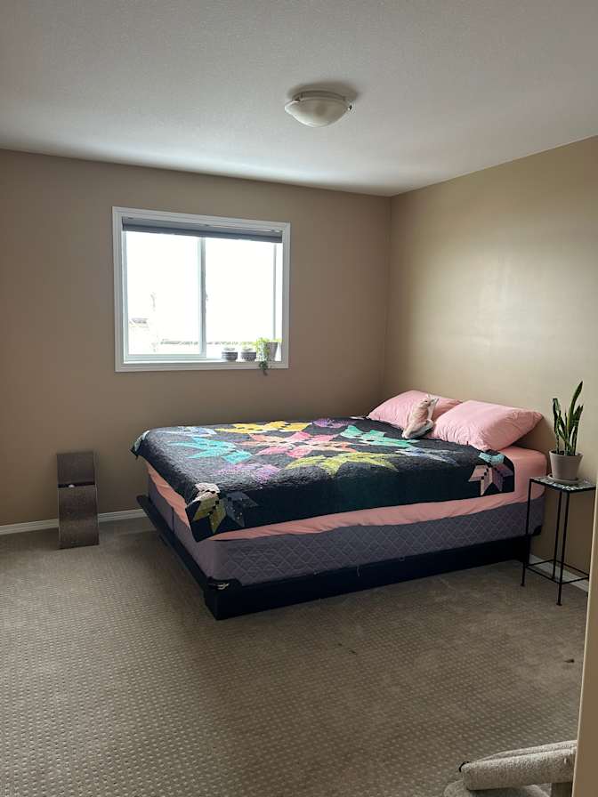 Halley's room