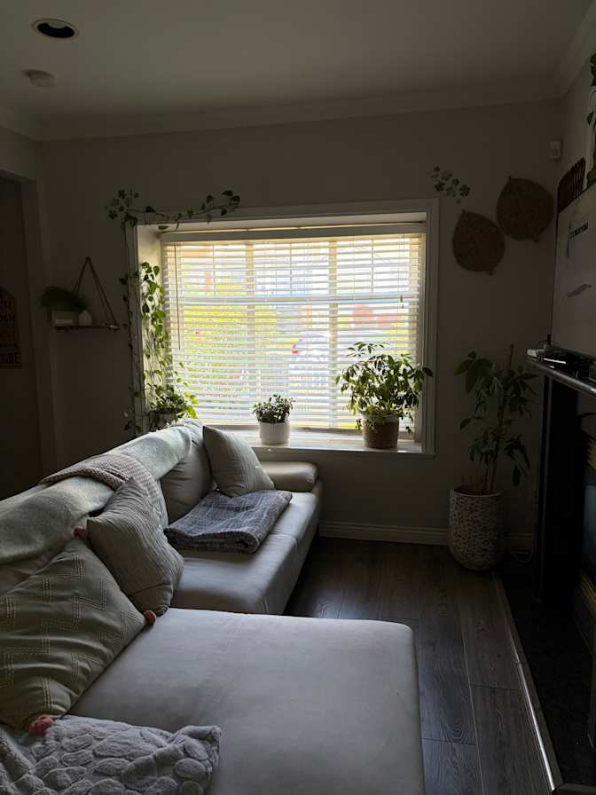 Leila's room
