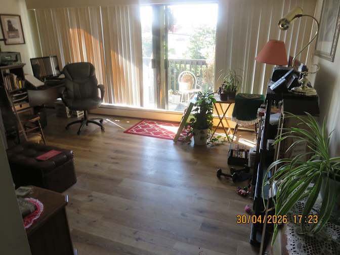 carol's room