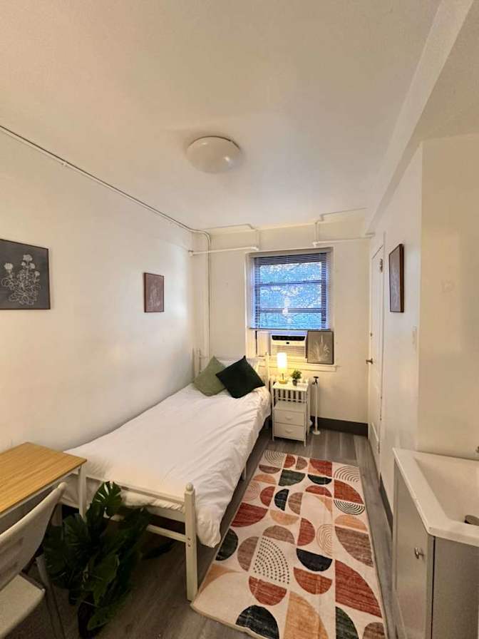 Husyar Koleoglu's room