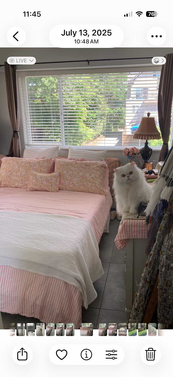 Tracey's room