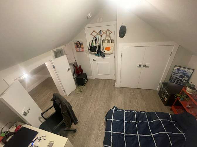 Rex's room