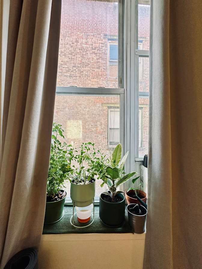 Nina's room