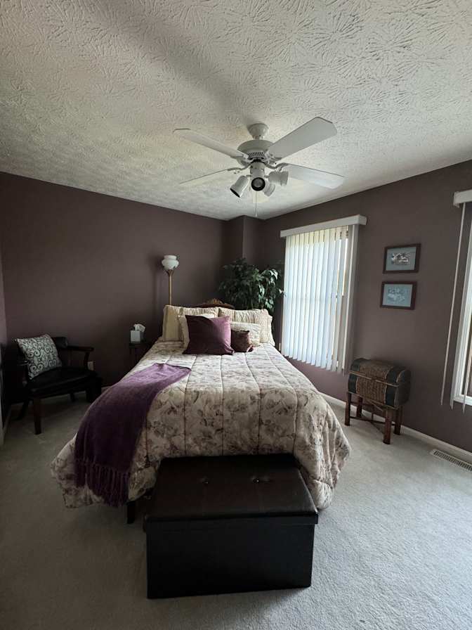 WFH professional's room