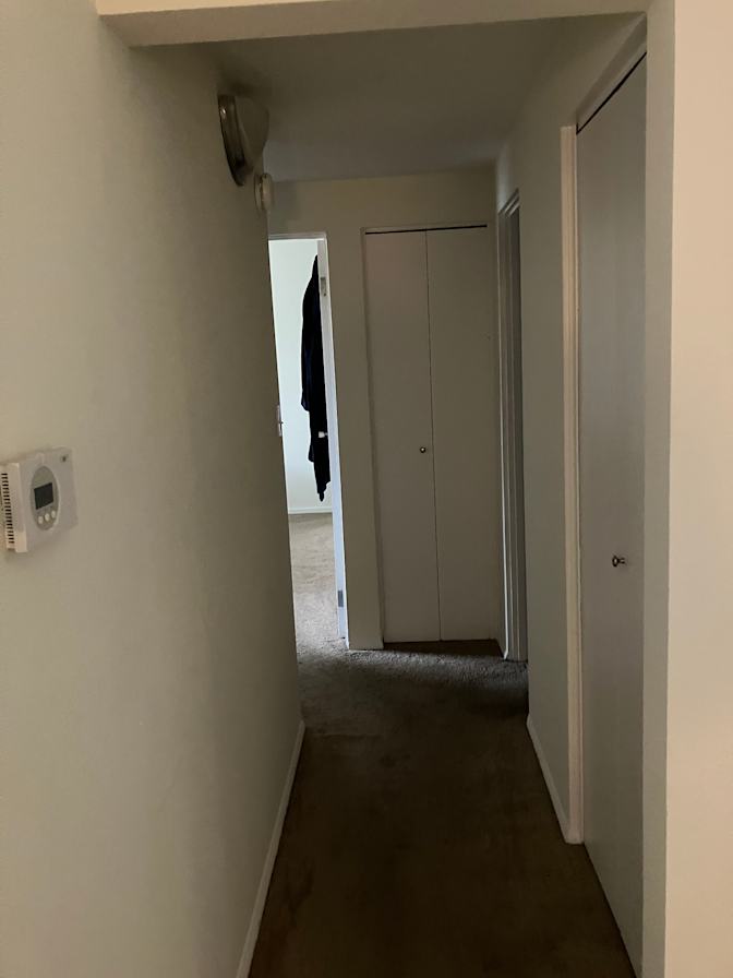 Mitch's room
