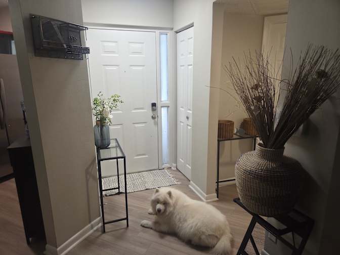 Natalie's room