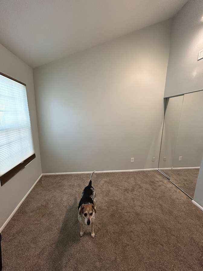 Karlee's room