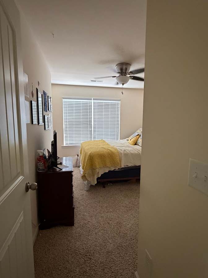 Cami's room