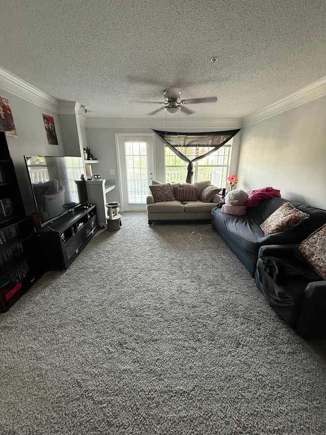 Morgan's room