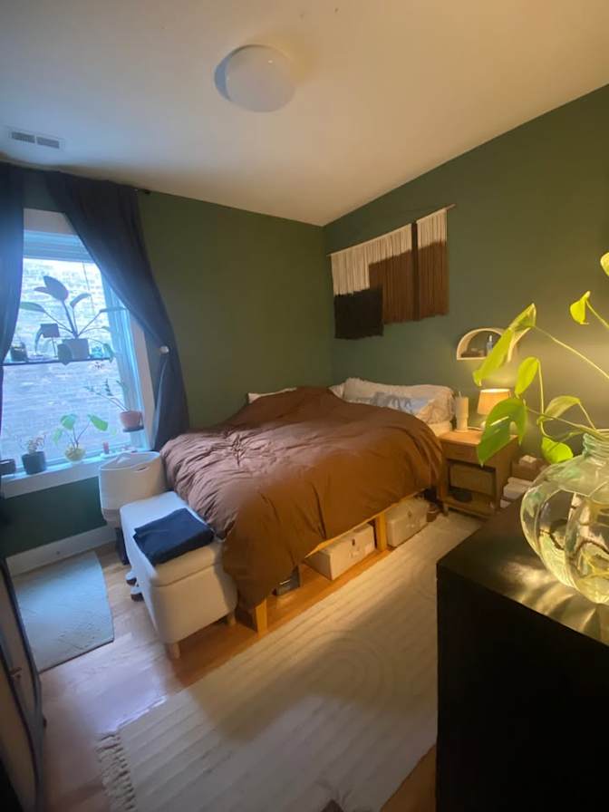 Anastasia K Rhodes's room