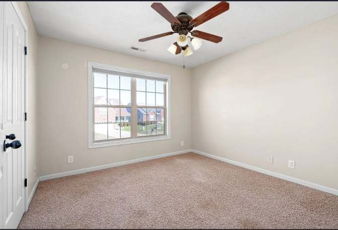 Daphnee's room