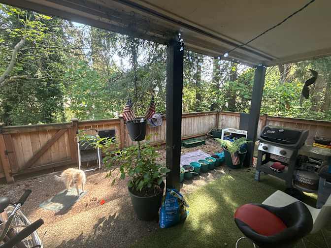 Nicholas's room