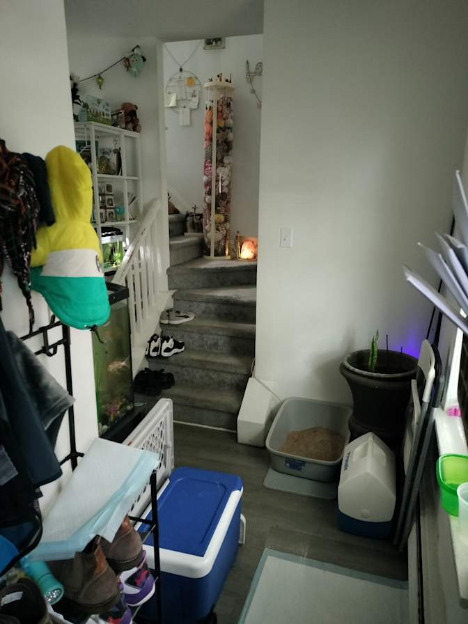 Trevor's room