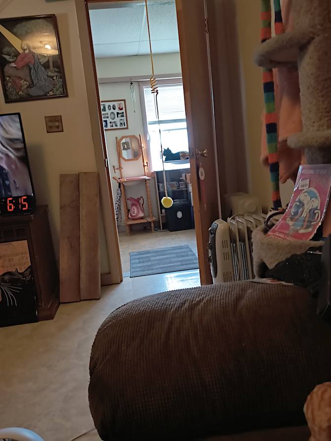 Michelle's room