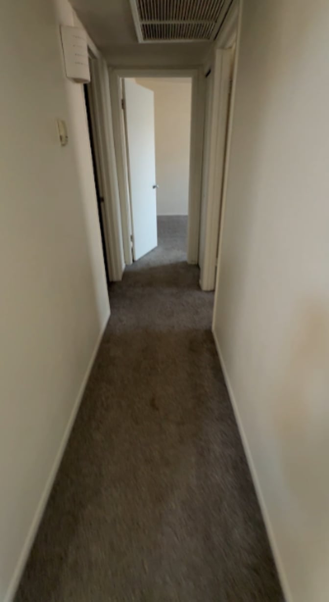 Elizabeth's room