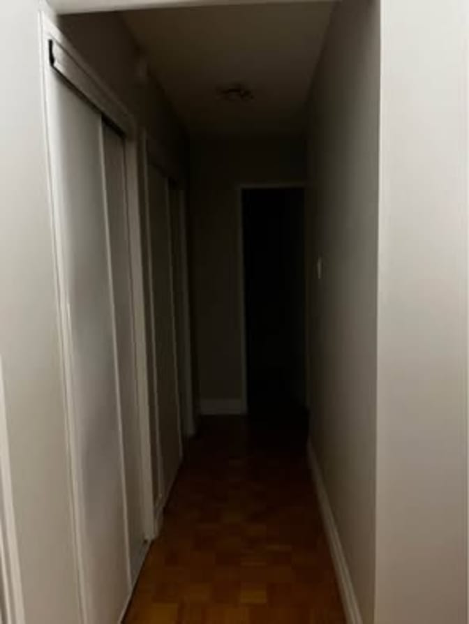 Mariya Anashkina's room