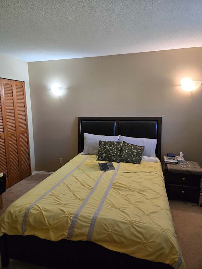 Hadeer's room