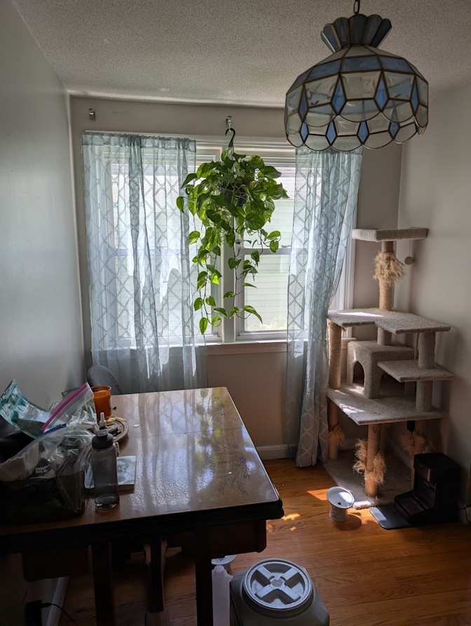 Harmony's room