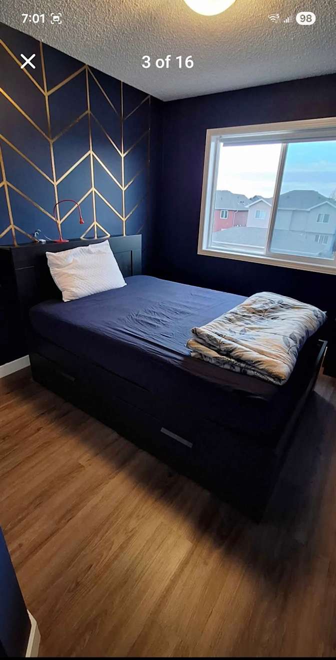 Davor's room