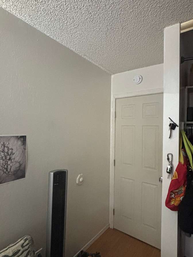 Eliza Ayako's room