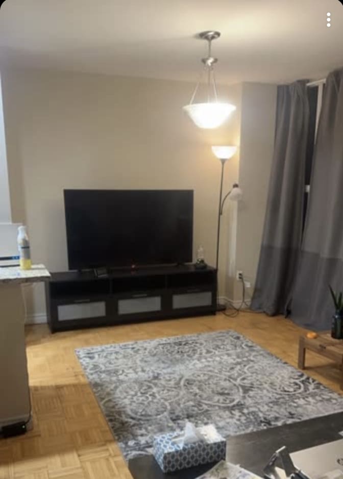 marjan shaker's room