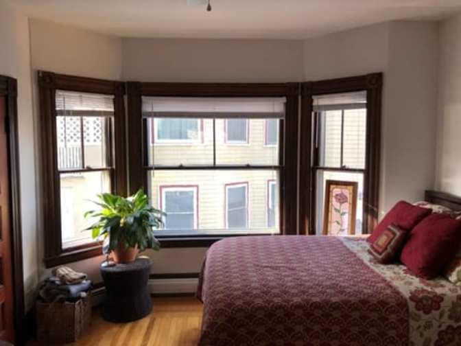 Paulina's room