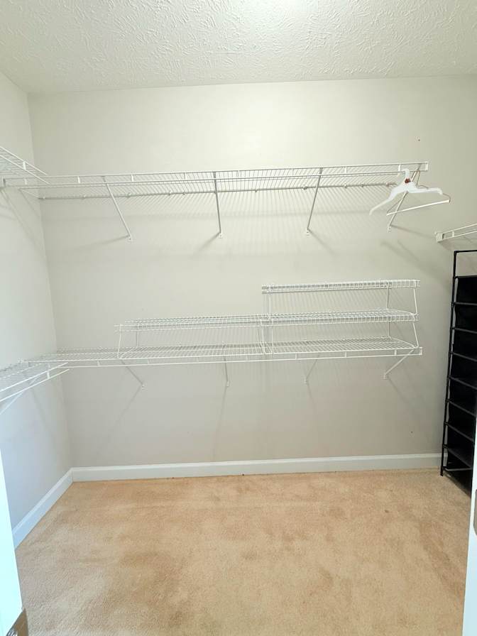 Matt's room