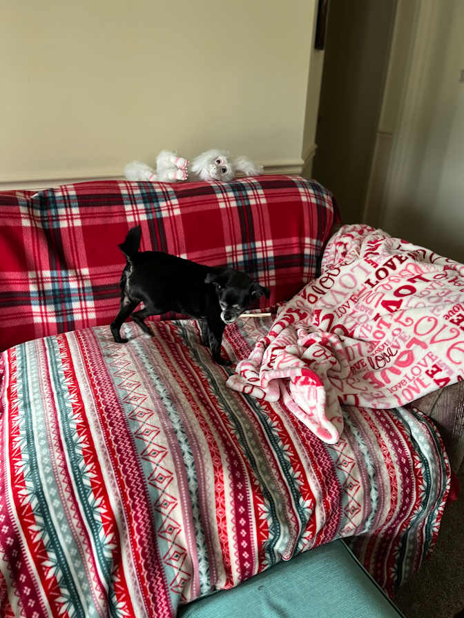 Dora Cox's room