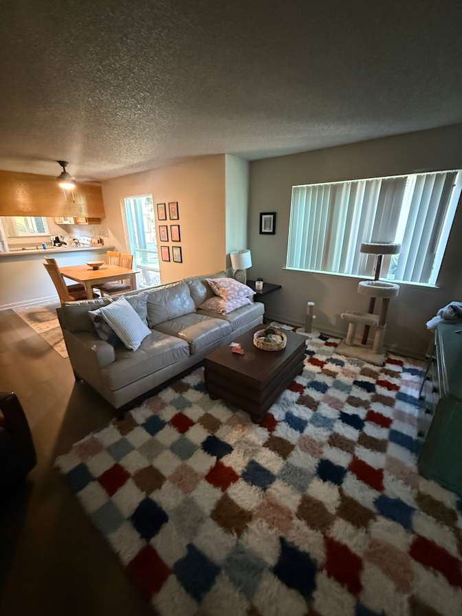 Hannah Lane's room