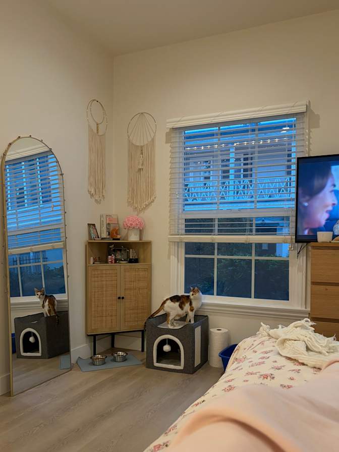 Alexa's room