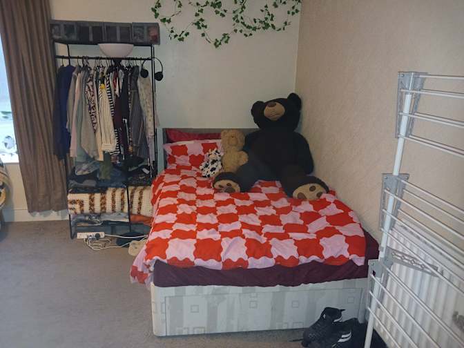 Arbab's room