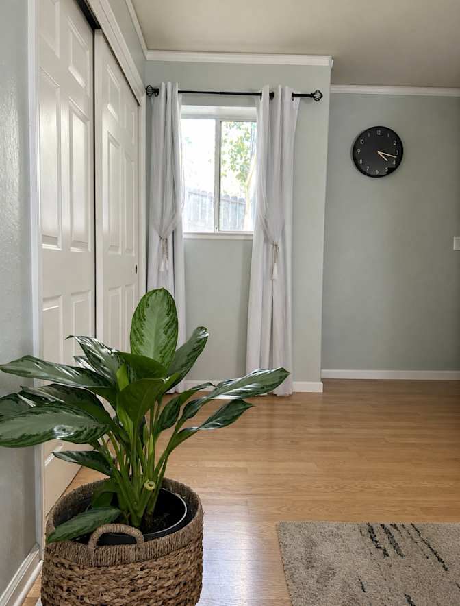 Jacqueline's room
