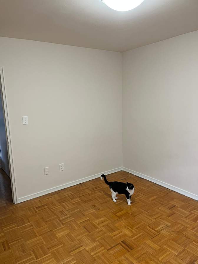 Caitlin's room