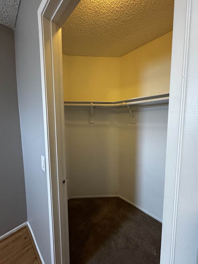 Ivan's room