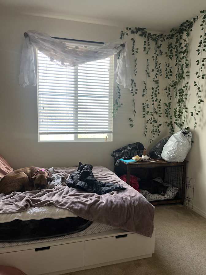 Domonique's room