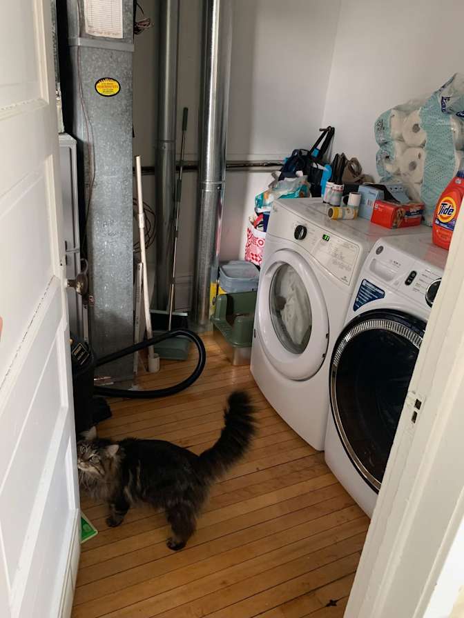 Alan's room